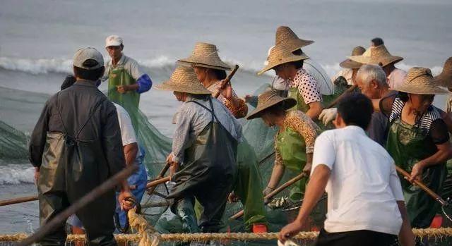 茂名人口最多的5个县区:第1是电白,信宜是第…