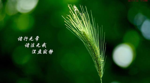 诠释中华文化智慧精华, 解读人生格言(1)--人生无常