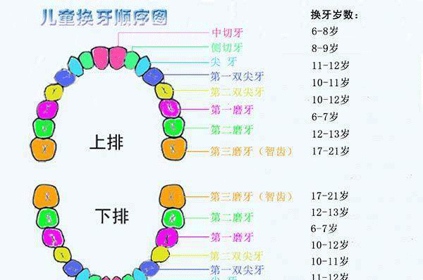 宝宝换牙后长出锯齿状正常吗