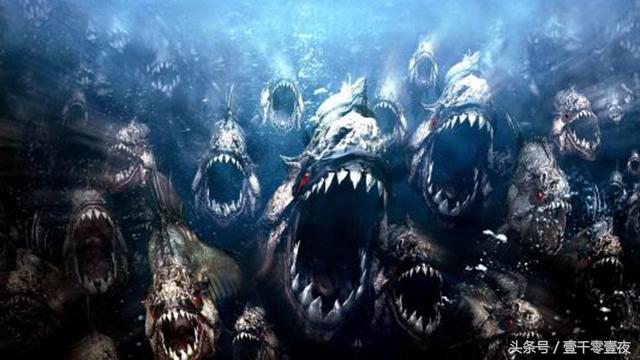 不寒而栗!恐怖食人鱼背后10大不为人知的秘密你绝对不知道