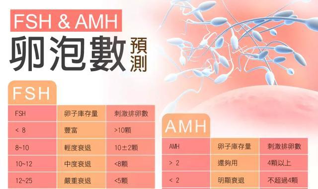 孕期卵巢早衰AMH值多少?两分钟教你看懂AM