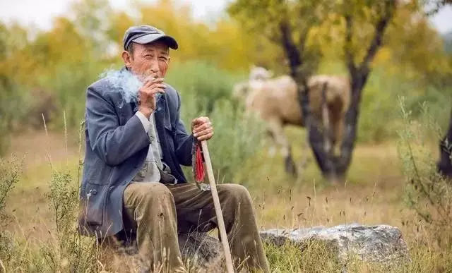 农村严查6类扶贫寄生虫,清理虚假贫困户和低保