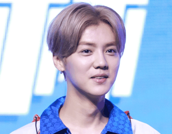 鹿晗将解说俄罗斯世界杯, 还透露自己最支持的