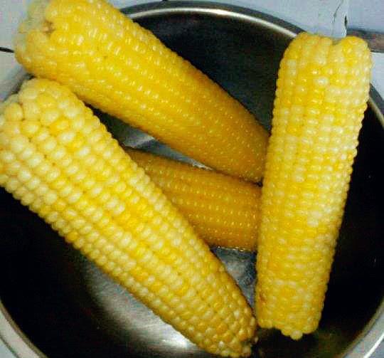 每天晚上只吃根玉米,一个月能瘦多少斤?