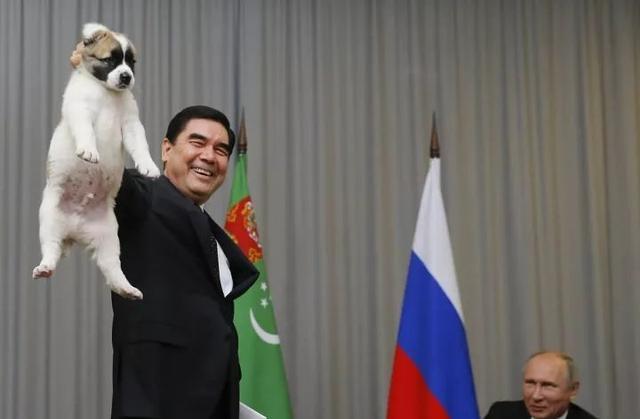 当目睹了土库曼斯坦总统提狗时, 普京大人的表