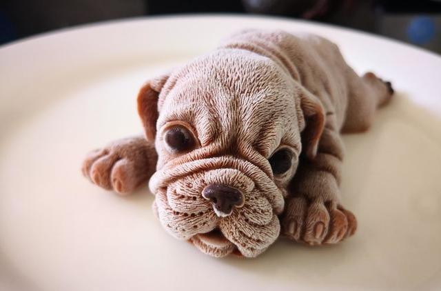 网络上超火的网红美食冰激凌慕斯沙皮狗, 今天