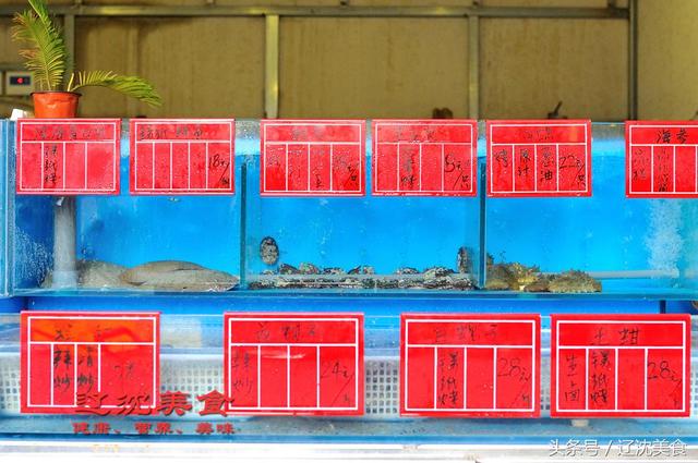 世界杯开幕式沈阳球迷同步狂欢,盛京小外滩热