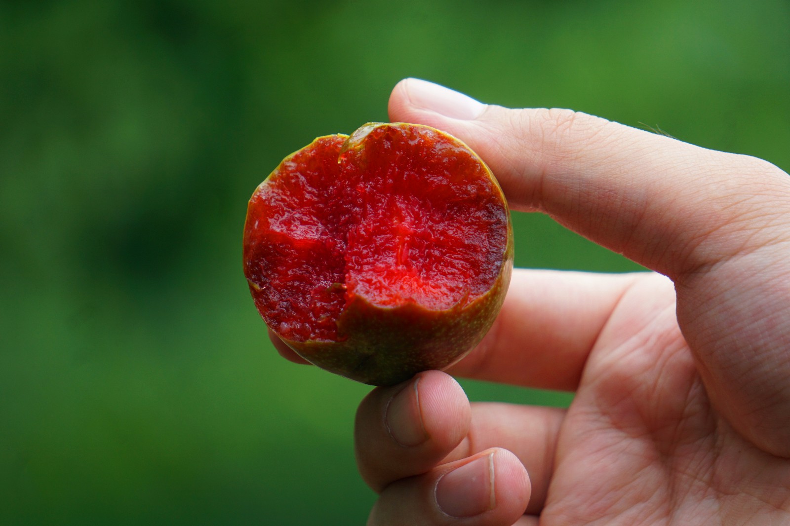这里不仅有好吃的三华李，还有激动人心的越野汽车挑战赛!