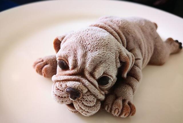 网络上超火的网红美食冰激凌慕斯沙皮狗, 今天