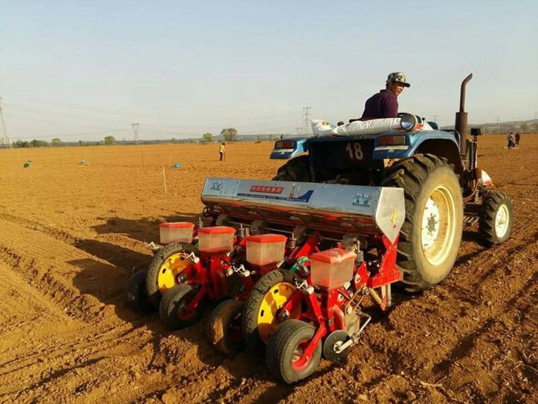 农民春耕时节不种地, 全因当了“托管户”