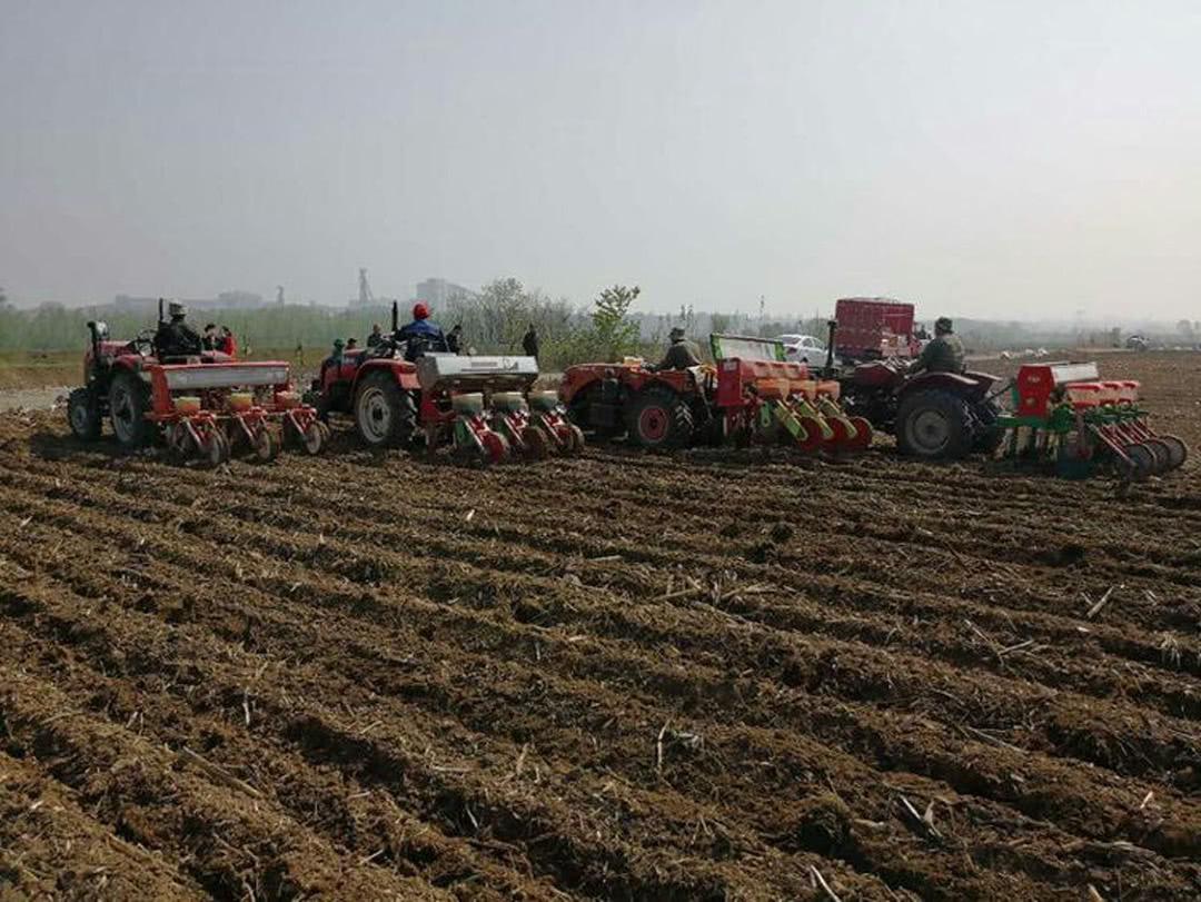 农民春耕时节不种地, 全因当了“托管户”