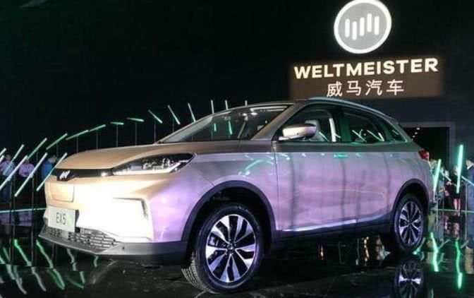 纯电动汽车威马EX5震撼上市,续航460km,网友