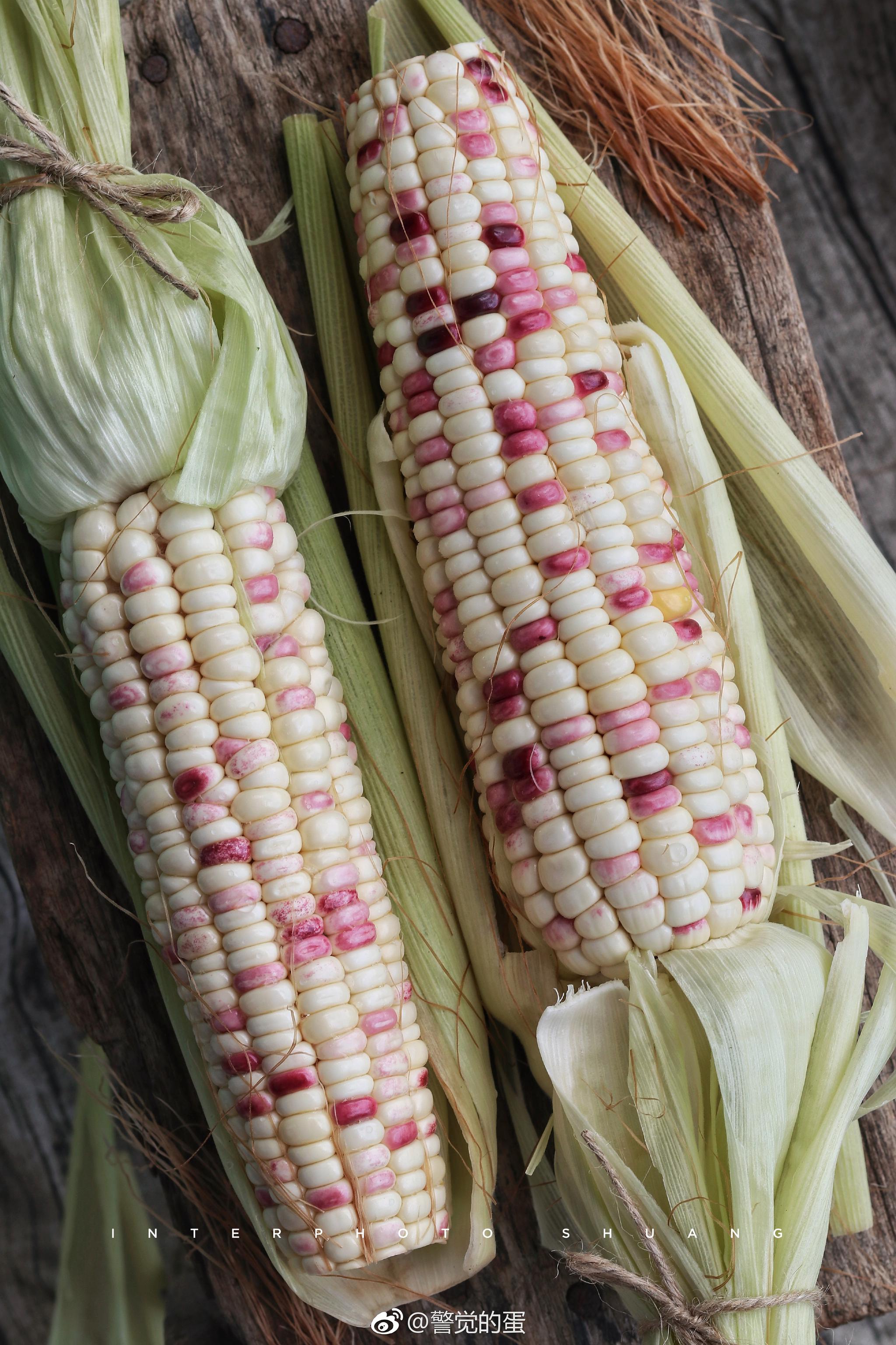 精液为什么是甜的?