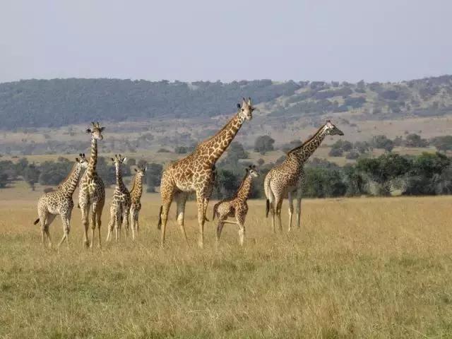 厉害了我的国! 2018全球护照排行出炉,看看哪