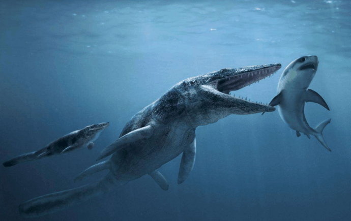 轻松秒了霸王龙的两大史前巨兽, 巨齿鲨pk龙王