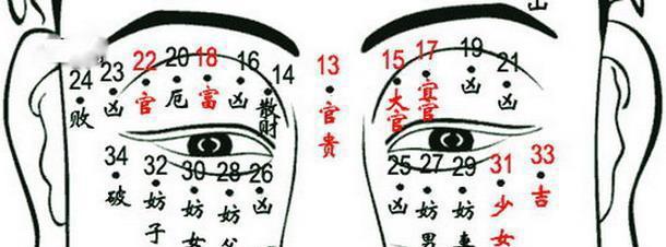 手背痣图解:男人左手手背痣图解