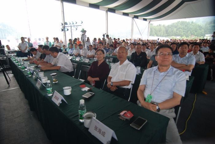 乡村复兴论坛留坝峰会紫枫棒棒蜜和古栈道