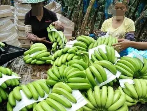 最新最全的“宾利“资讯都在这里，不容错过