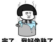 给大家表演铁锅炖自己