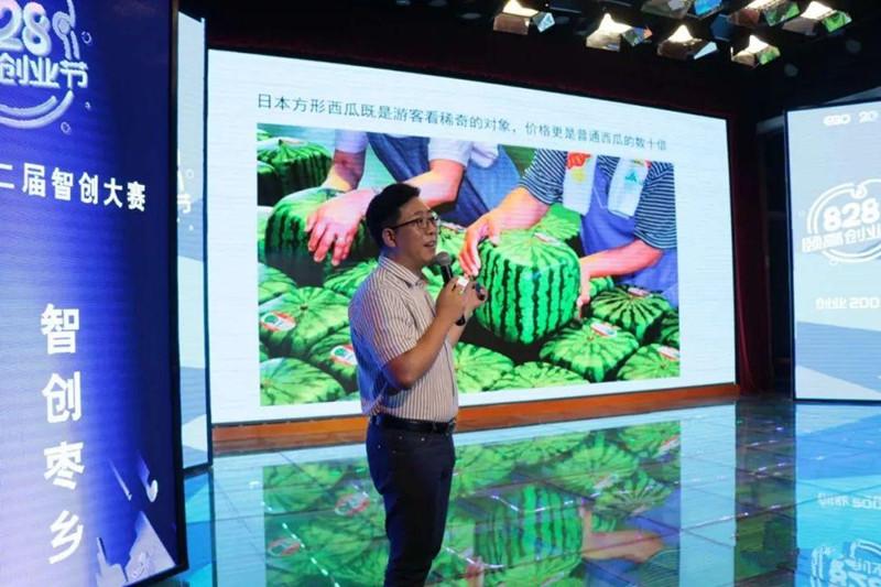 临泽小枣+七彩丹霞:专家齐聚张掖临泽,为乡村