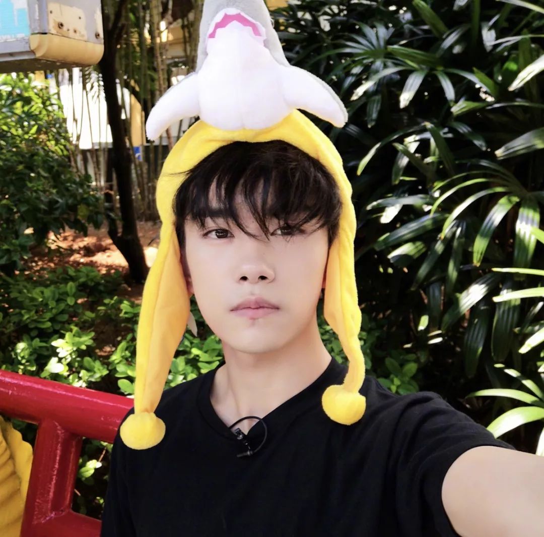 易烊千玺闷骚?王源减肥方法?鞠婧祎张哲瀚关