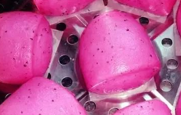 用红心火龙果蒸馒头,出锅后竟不是红色的?味道