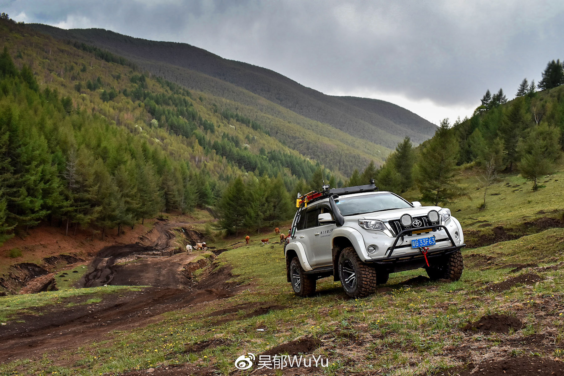AT38北极卡车极地普拉多老掌沟越野测试实录