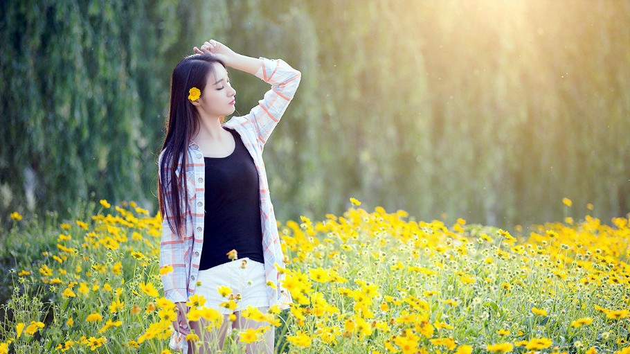 一个在金黄色野菊花边的清秀美丽女孩_新浪看点