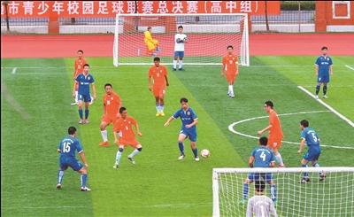 中国足球要是能和BBC纪录片一样美轮美奂,那