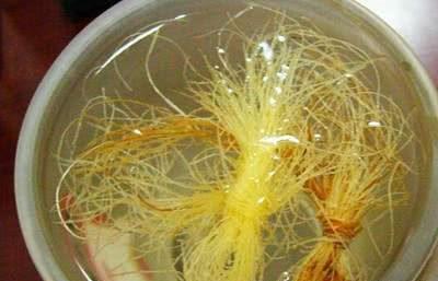 每天晚上只吃根玉米,一个月能瘦多少斤?