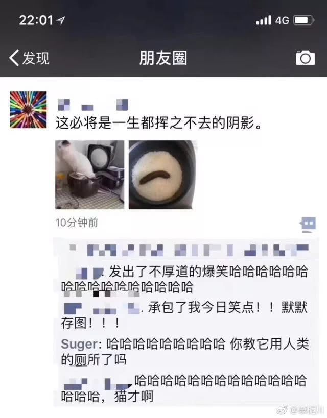 隐藏在你朋友圈里的那些逗比,笑到生活无法自理啊哈哈