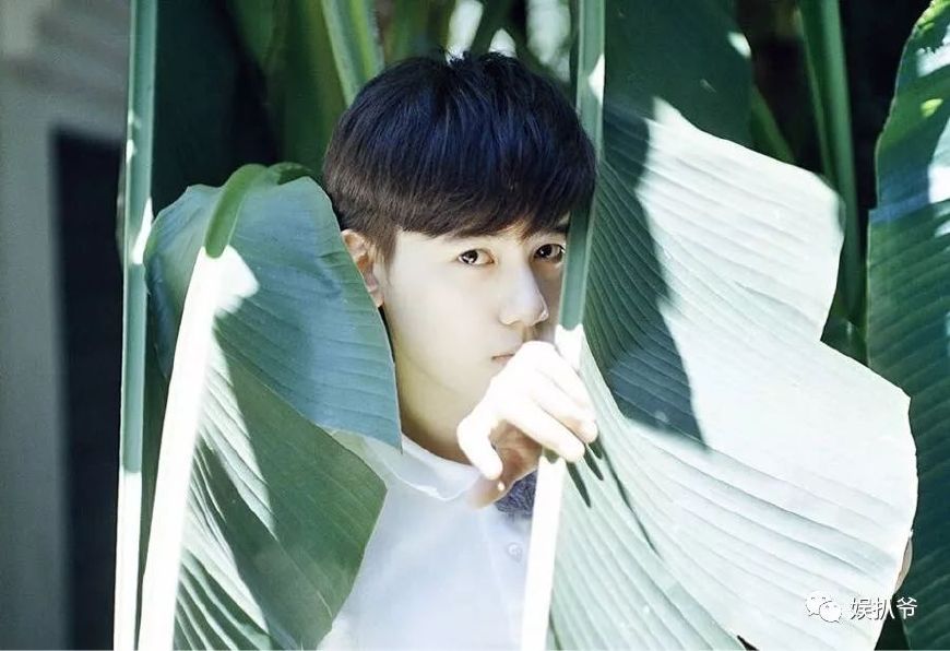 胡先煦公布恋情影响发展?邓伦为何不回关杨紫