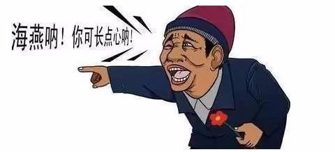 海燕啊你可长点心吧表情