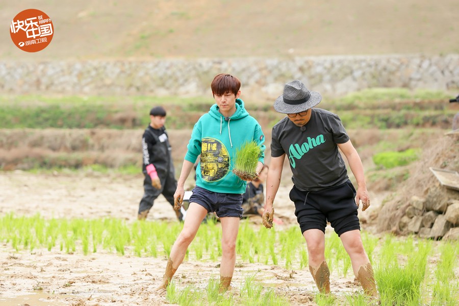 《向往的生活》何炅化身托尼为徐峥洗头黄磊