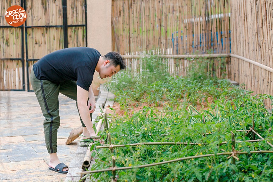 《向往的生活》何炅回忆金龟子带其出道毛不易