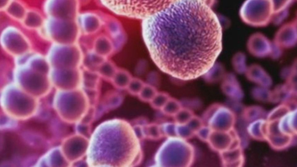 幽门螺杆菌最怕四种食物