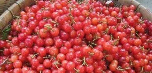 重庆方言对美食的别称，作为外地人的你懂几个？