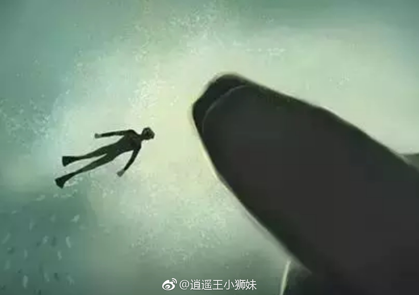 alice鲸鱼评价图片