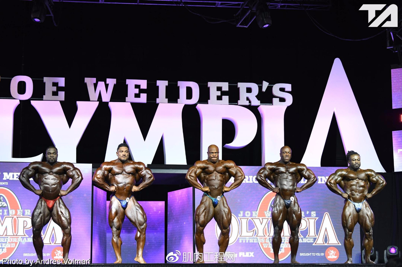 (超清大图)2018年奥赛职业组男子健美无差别级