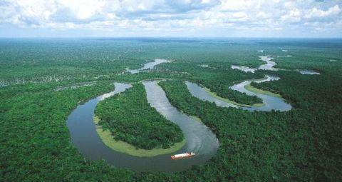 亚马逊河流最致命的6大生物, 食人鱼只排第三, 第一是支军队
