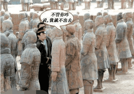 德国男子自制兵马俑服装, 跳进俑坑被警察费劲找出, 网友