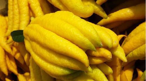 失眠的人,不妨用此物泡水喝,每天一杯,睡眠好了