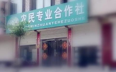 农民专业合作是什么意思