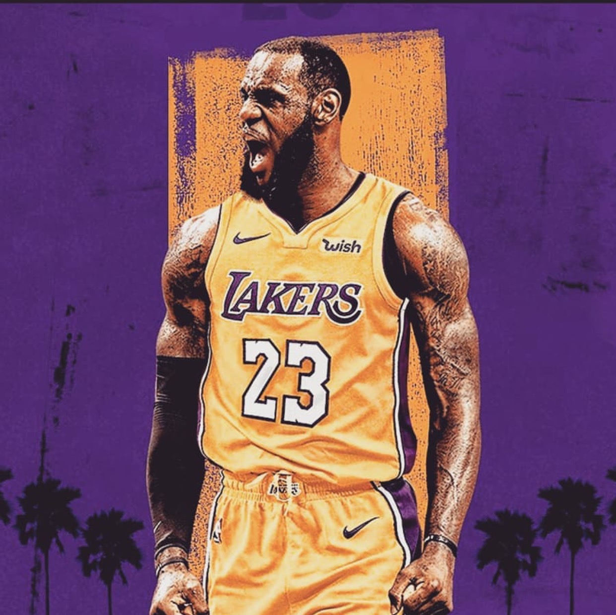 2018年夏天33岁的詹姆斯转会湖人33岁的C罗