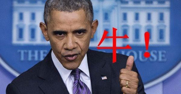 得口碑者得市场，大概说的就是这几款车吧