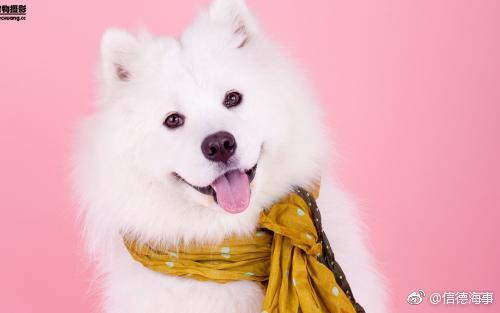 2018年5月31日信德海事每日资讯