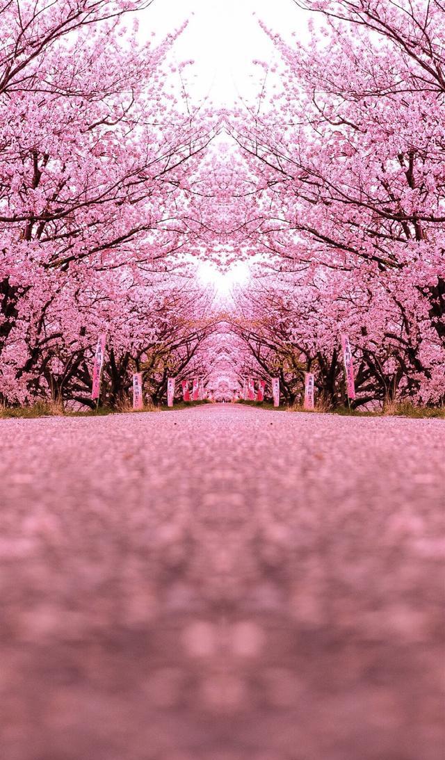 少女心，粉色高清系列壁纸