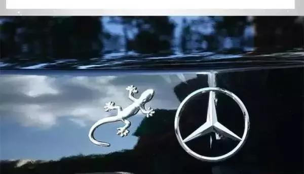 近期“奥迪“动态汇总，都在这个专题里