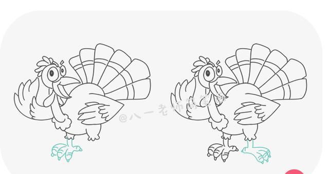 画一只感恩节火鸡,简笔画怎么画