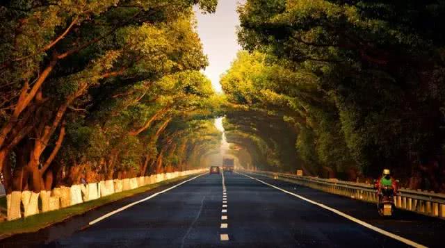 浙江最美公路,一路湖光山色一路风景如画,自驾者向往的诗和远方
